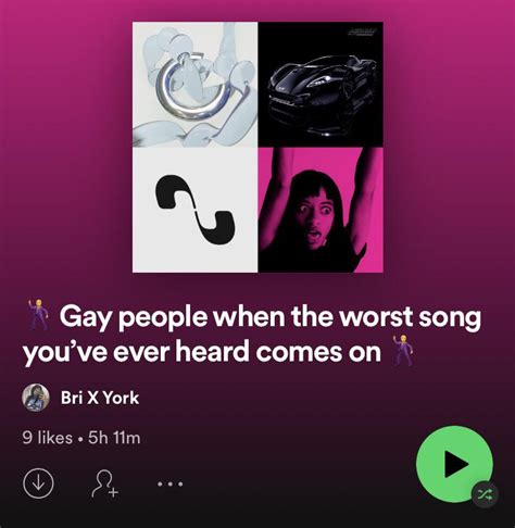 Gay people when the worst song you’ve ever heard comes on : r/weirdspotifyplaylists