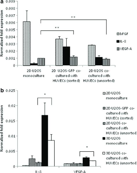 A Effect Of Coculture With Human Umbilical Vein Endothelial Cells