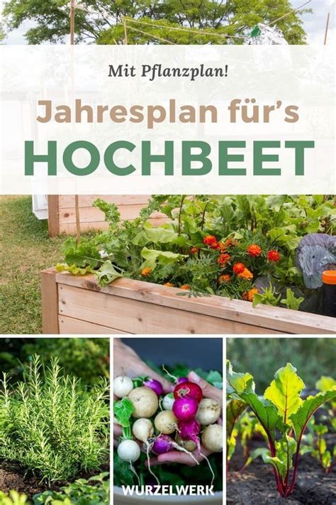 Aussaatkalender für 2023 Dein PDF zum Herunterladen Garten