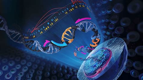 Ensuring Good Quality Cells For Single Cell Sequencing