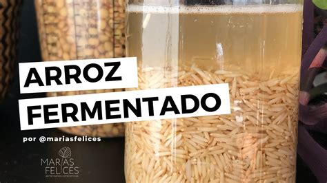 C Mo Fermentar Arroz Para Nutrirte Mejor Youtube