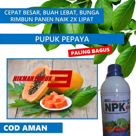 Jual Pupuk Bibit Pepaya Super NPK Cair Bio IStiqomah Pelebat Tanaman