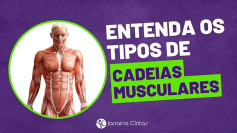 Entenda Os Tipos De Cadeias Musculares E Como Funcionam Youtube