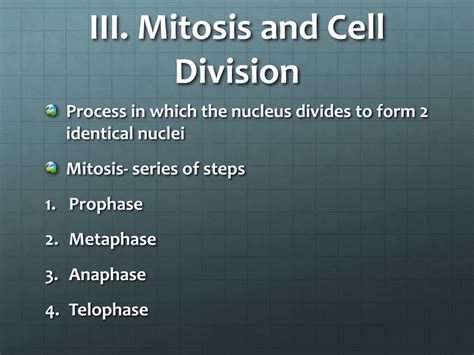 Ppt Cell Division And Mitosis Powerpoint Presentation Free Download Id6494730