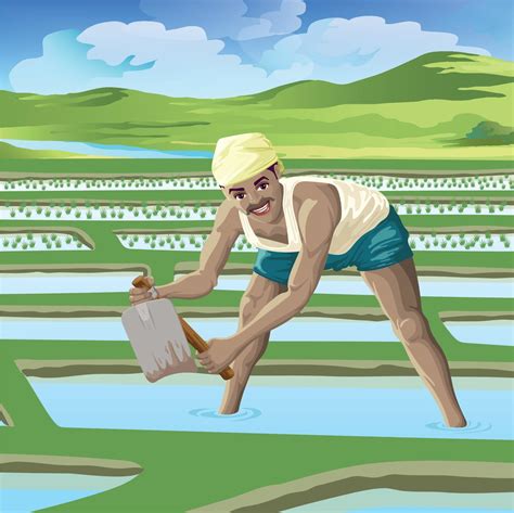 Happy Farmer Working In Paddy Field 4737048 Vector Art At Vecteezy