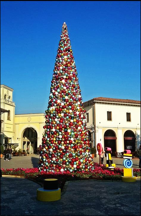 Si Un Albero Di Trenta Piani Maurizio Lambri Flickr