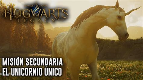 Hogwarts Legacy Misión Secundaria El Unicornio Único Español