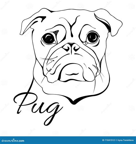 Pug Dog Head Stock Vector Illustration Of Card Cartoon 71041512