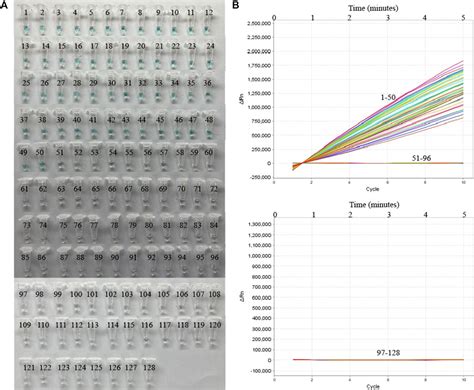 Frontiers A Crispr Cas Abased Platform For Ultrasensitive Rapid