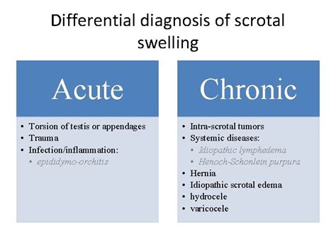 Differential Diagnosis Of Scrotal Swelling Dr Om Prakash