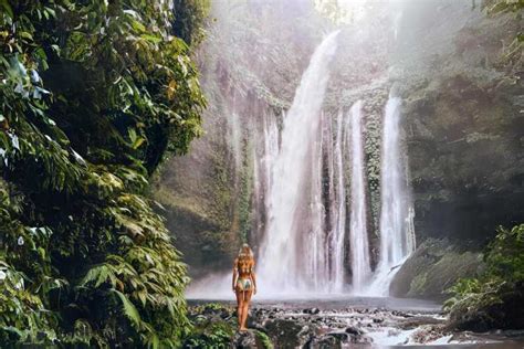 Pusuk Monkey Forest Lombok Book Tickets Tours Getyourguide