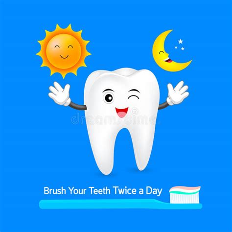 Why Do We Brush Twice A Day Dentist In Beaufort Sc Ladys Island Sc