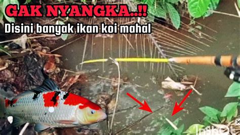 Gak Nyangka Selokan Kecil Jadi Sarang Ikan Mancing Satu Titik