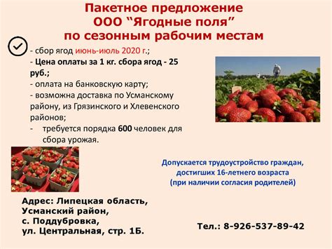 Пакетные предложения по сезонным рабочим местам - презентация онлайн