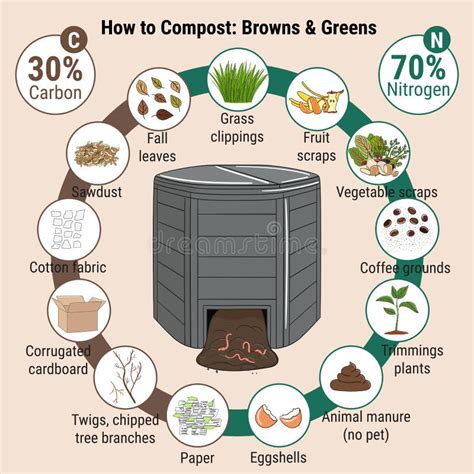 Infographic Of Garden Composting Bin With Scraps What To Compost