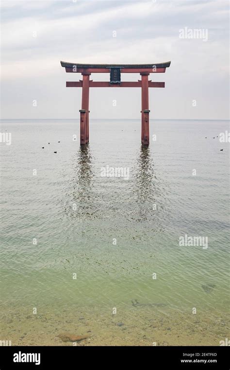 The Torii In The Lake Biwa Shirahige Shrine At Japan Stock Photo Alamy