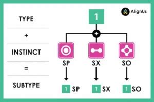 Enneagram Subtypes And Instincts