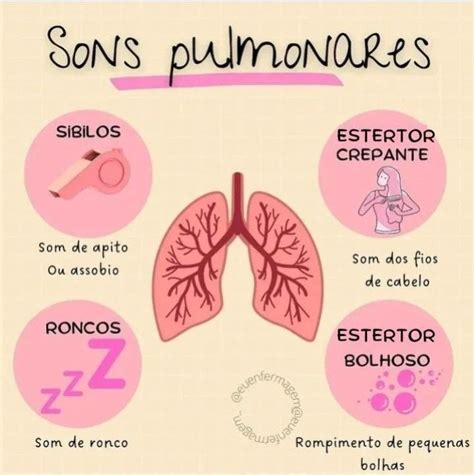 Sons Pulmonares Material De Enfermagem Curso Tecnico De Enfermagem