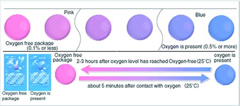 The color of Ageless Eye oxygen indicator changes from pink to blue in ...