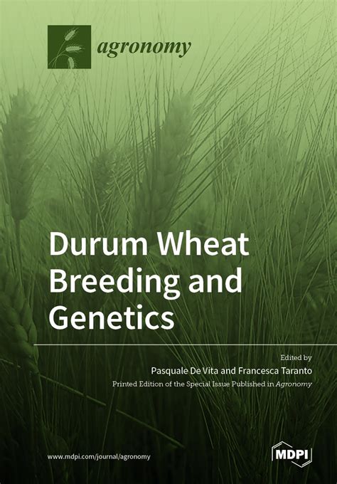 Durum Wheat Breeding And Genetics Mdpi Books