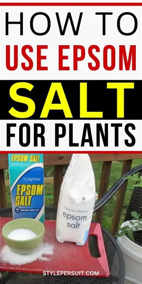 How To Use Epsom Salt For Plants Epsom Salt For Plants Epsom Salt Benefits Epsom Salt Garden