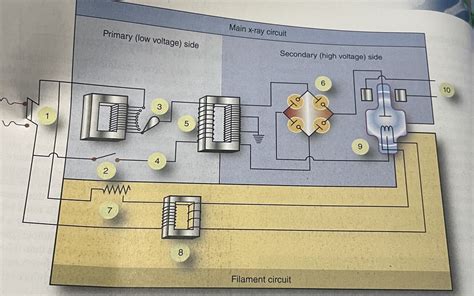 Main Xray Circuit Diagram Quizlet