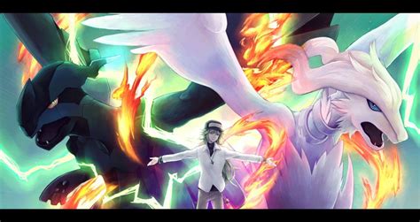 Reshiram Vs Zekrom Wallpapers Wallpaper Cave