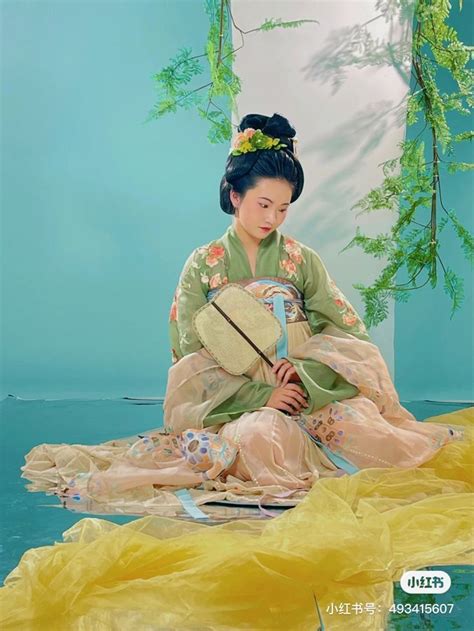 Hanfu Chinese Tang Dynasty Traditional Clothing Hanfu In