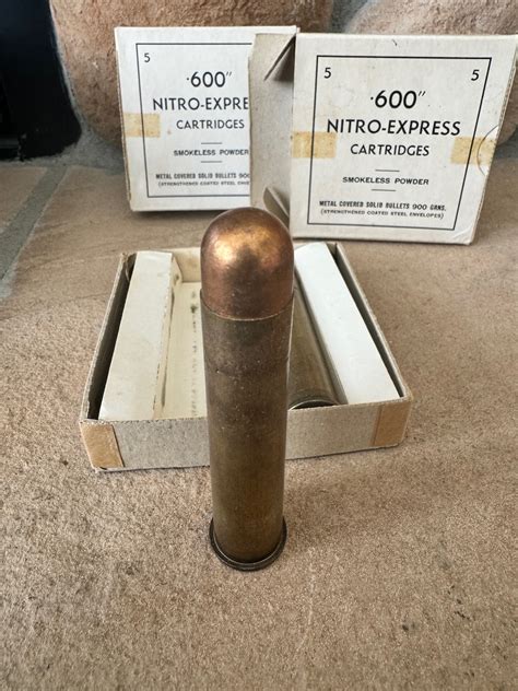 2 Boxes 600NE 10 Rounds 600 Nitro Express AfricaHunting