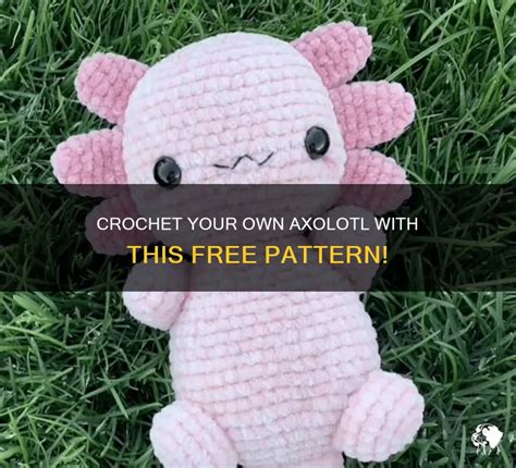 Crochet Your Own Axolotl With This Free Pattern Petshun