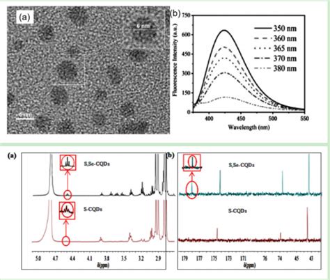 硒量子点 棕黑色粉末 粒度5 10nm 齐岳生物供应 Udp糖丨mof丨金属有机框架丨聚集诱导发光丨荧光标记推荐西安齐岳生物