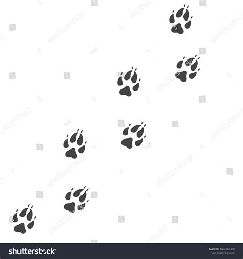 2568 Fox Footprints Images Stock Photos And Vectors Shutterstock