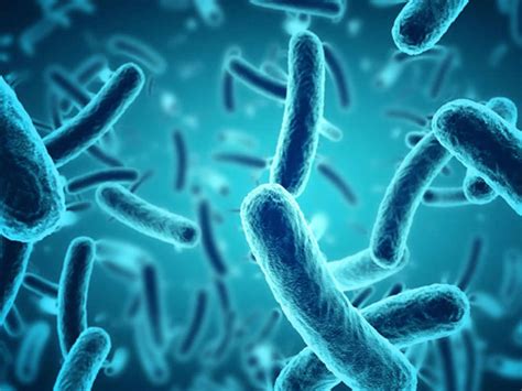 Nosocomial infection definition, nosocomial pathogens, nosocomial pneumonia