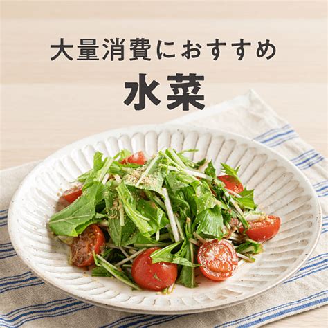 大量消費におすすめ 水菜レシピ おすすめの40選を紹介 クラシル