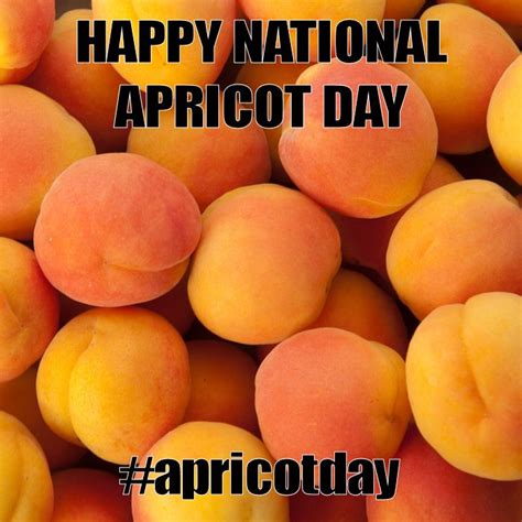 January 9, 2015 - National Apricot Day | Apricot, Fruit, Food