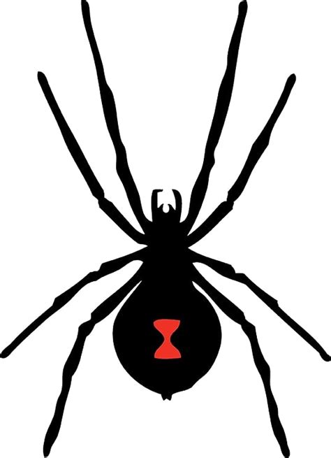 Black Widow Spider Decal