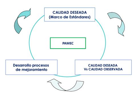 Auditor A Para El Mejoramiento De La Calidad De La Atenci N De Salud