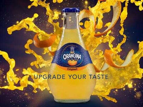 Orangina Stay Alive Wolf Stay Alive Goat Stay Alive Bear Sta