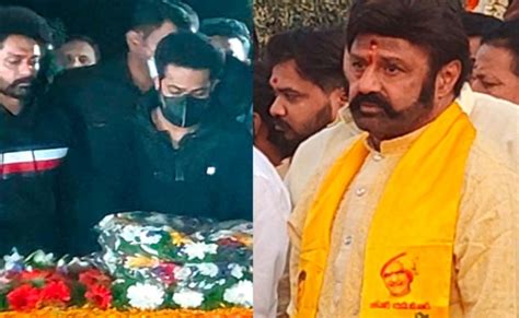 Balakrishna Disowns Jr Ntr Completely Greatandhra