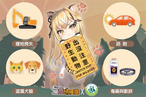 臺灣瀕臨絕種動物擬人女團《瀕臨絕種團rescute》，石虎出沒注意！ 新聞資訊 Udn遊戲角落