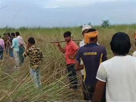 Villagers In Panic Had Hunted A Calf In The Forest Of Nizampur दहशत में ग्रामीण निजामपुर के