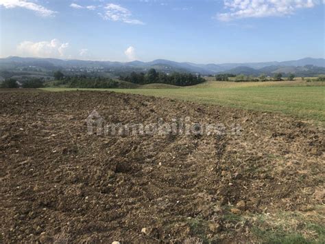 Asta Per Terreno Agricolo Strada Comunale Costa Marenga Salsomaggiore