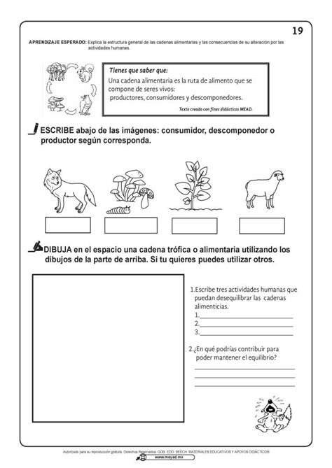 Material DidÁctico De Apoyo Bloque 2 Enero Febrero 4º 5º Y 6º Grado Imagenes Educativas