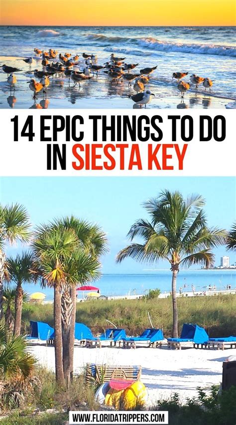 14 Epic Things To Do In Siesta Key Siesta Key Florida Florida Vacation