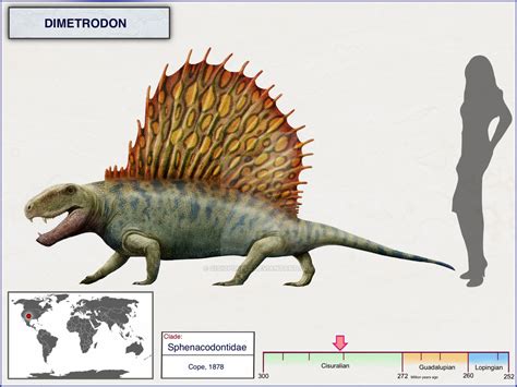 Dimetrodon By Cisiopurple On Deviantart