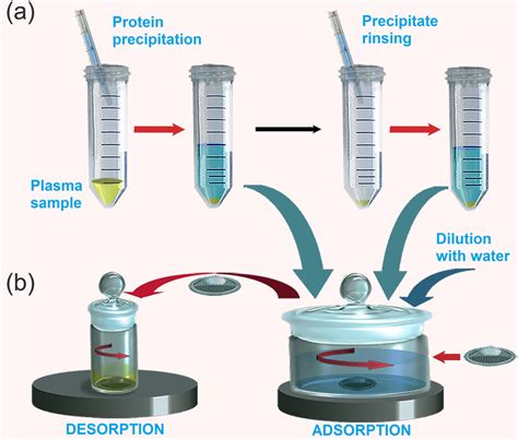 Schematic Illustration Of The Whole Extraction Procedure A Protein Download Scientific Diagram