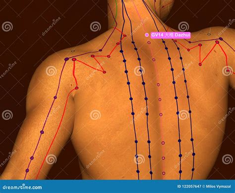 Acupuncture Point Gv Dazhui D Illustration Brown Background Stock