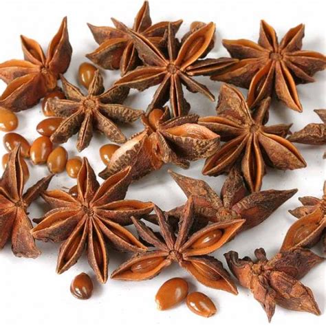 Chinese Star Anise Seeds Illicium Verum Plants And Flowers