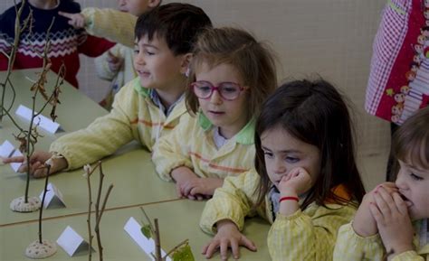 El Ayuntamiento De Alc Zar De San Juan Ense A A Los Escolares A Conocer