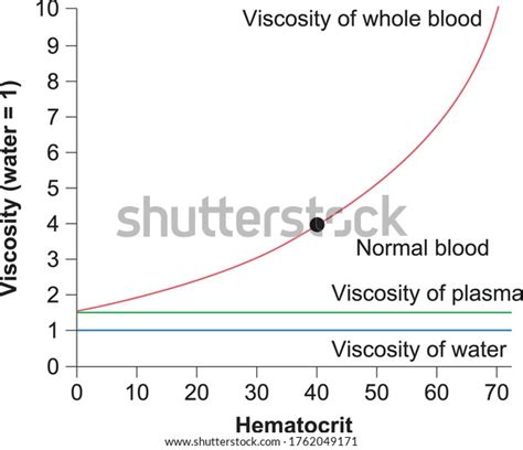 Effect Hematocrit On Blood Viscosity Stock Vector Royalty Free